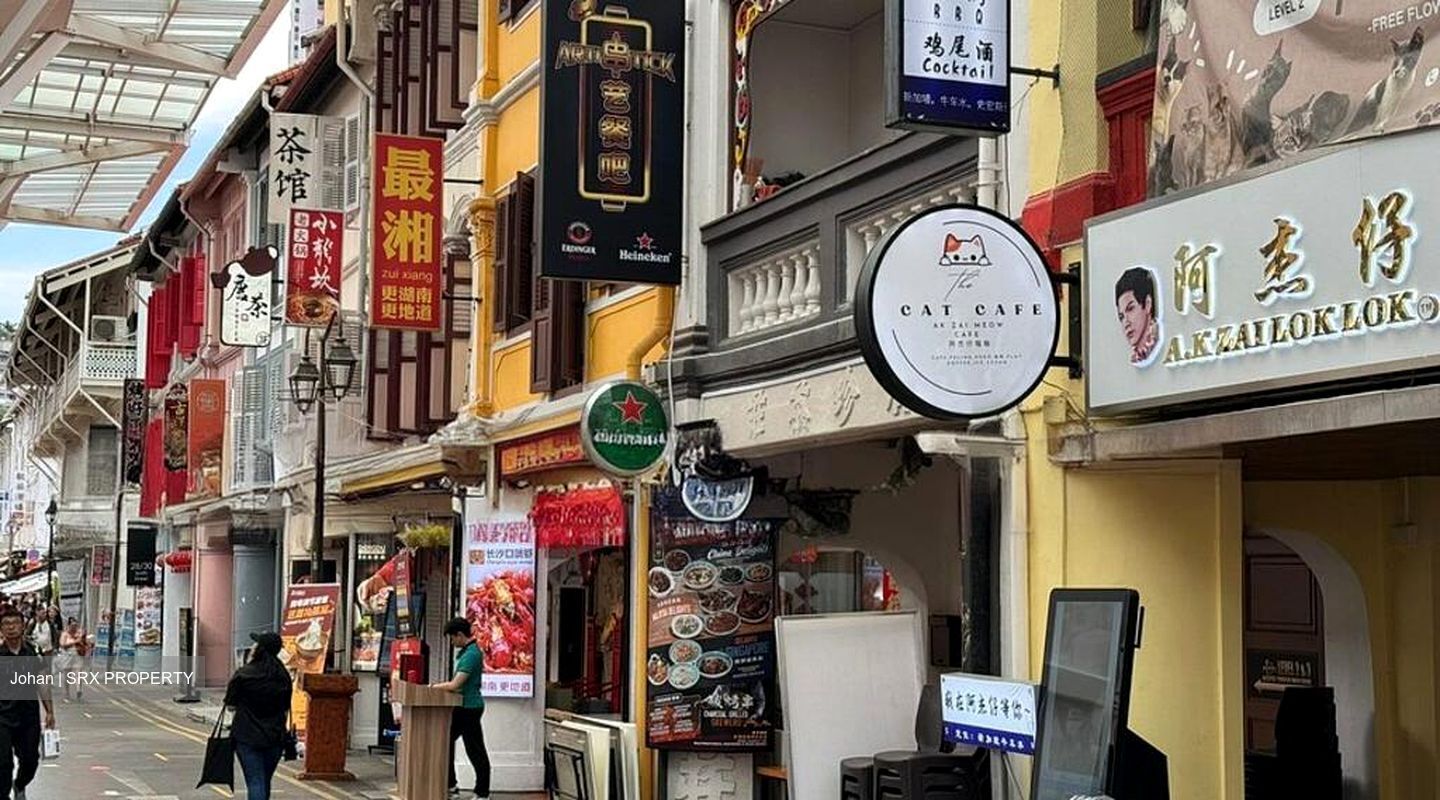 CHINATOWN MRT STATION (DT19) (D1), Shop House #572075461